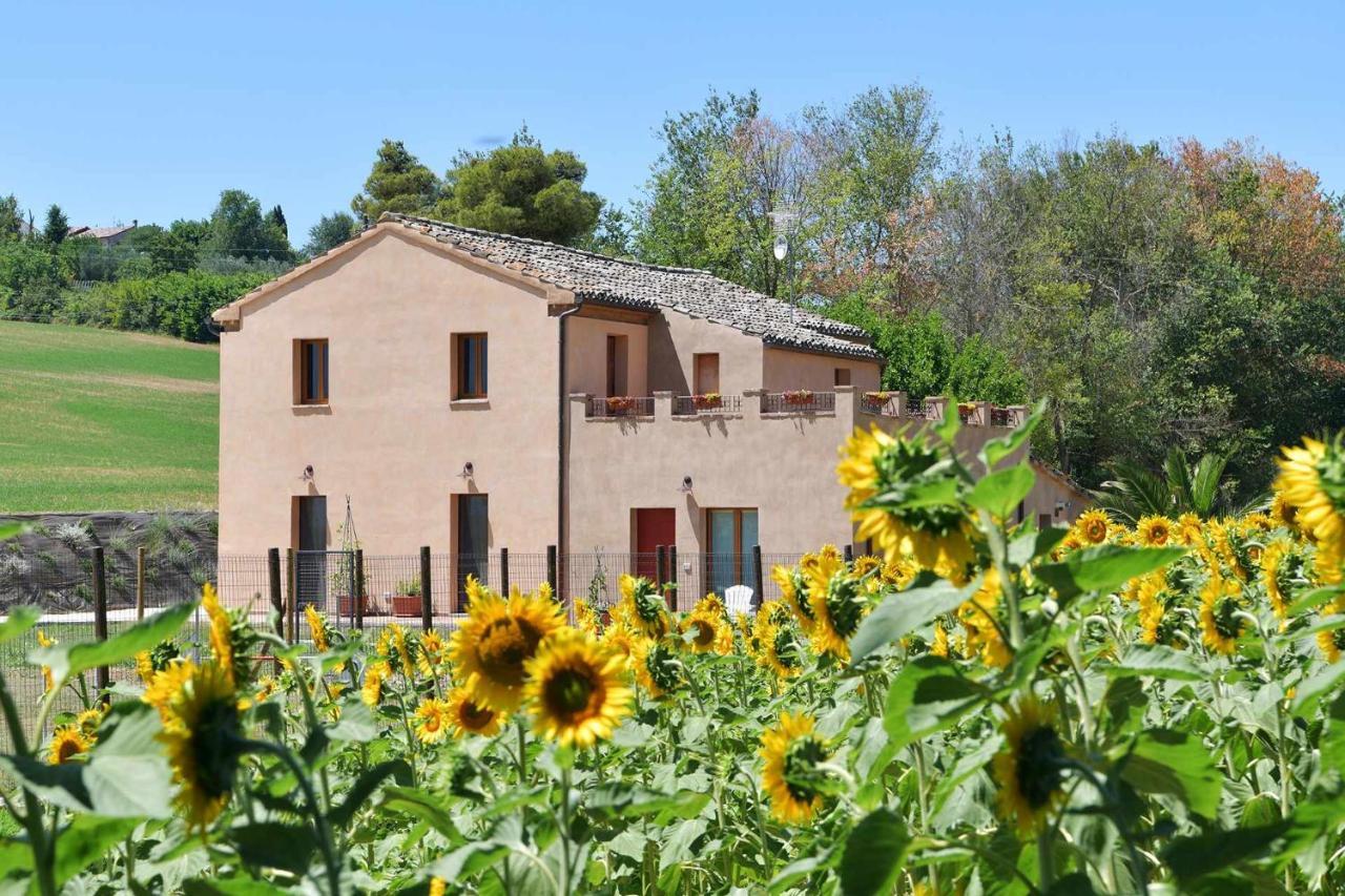 Casa Montefiore 13 Iris Lt Nella Tranquilla Campagna Marchigiana Анкона Экстерьер фото