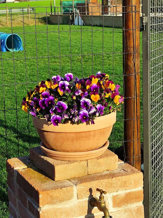 Casa Montefiore 13 Iris Lt Nella Tranquilla Campagna Marchigiana Анкона Экстерьер фото